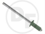 Forest Green - STAINLESS-STEEL RIVET (QTY1000)